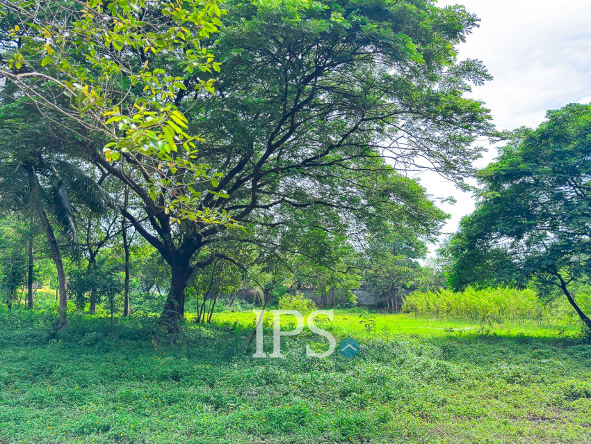 4,448 Sqm Land For Sale - Sala Kamreuk, Siem Reap