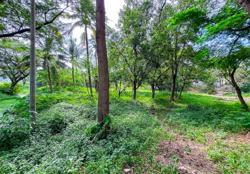 4,448 Sqm Land For Sale - Sala Kamreuk, Siem Reap thumbnail