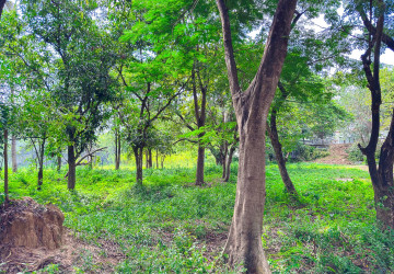 4,448 Sqm Land For Sale - Sala Kamreuk, Siem Reap thumbnail