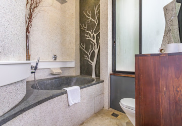 Duplex 4 Bedroom Penthouse For Rent - Tonle Bassac, Phnom Penh thumbnail