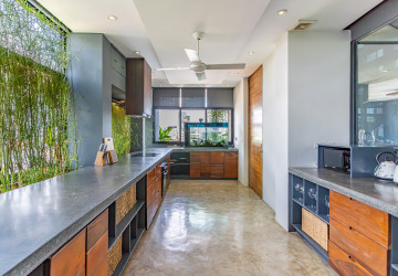 Duplex 4 Bedroom Penthouse For Rent - Tonle Bassac, Phnom Penh thumbnail