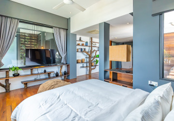 Duplex 4 Bedroom Penthouse For Rent - Tonle Bassac, Phnom Penh thumbnail