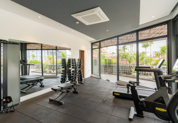 Duplex 4 Bedroom Penthouse For Rent - Tonle Bassac, Phnom Penh thumbnail