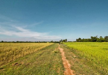 1195 sq.m. Land For Sale - Bakong District, Siem Reap thumbnail