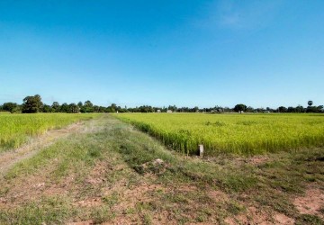 1195 sq.m. Land For Sale - Bakong District, Siem Reap thumbnail