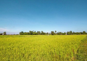 1195 sq.m. Land For Sale - Bakong District, Siem Reap thumbnail
