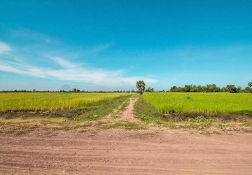 1195 sq.m. Land For Sale - Bakong District, Siem Reap thumbnail