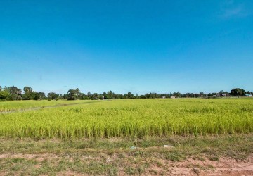 1195 sq.m. Land For Sale - Bakong District, Siem Reap thumbnail