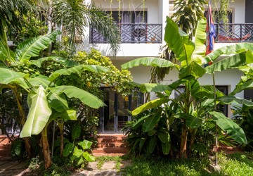 1 Bedroom Apartment For Rent - Svay Dangkum, Siem Reap thumbnail